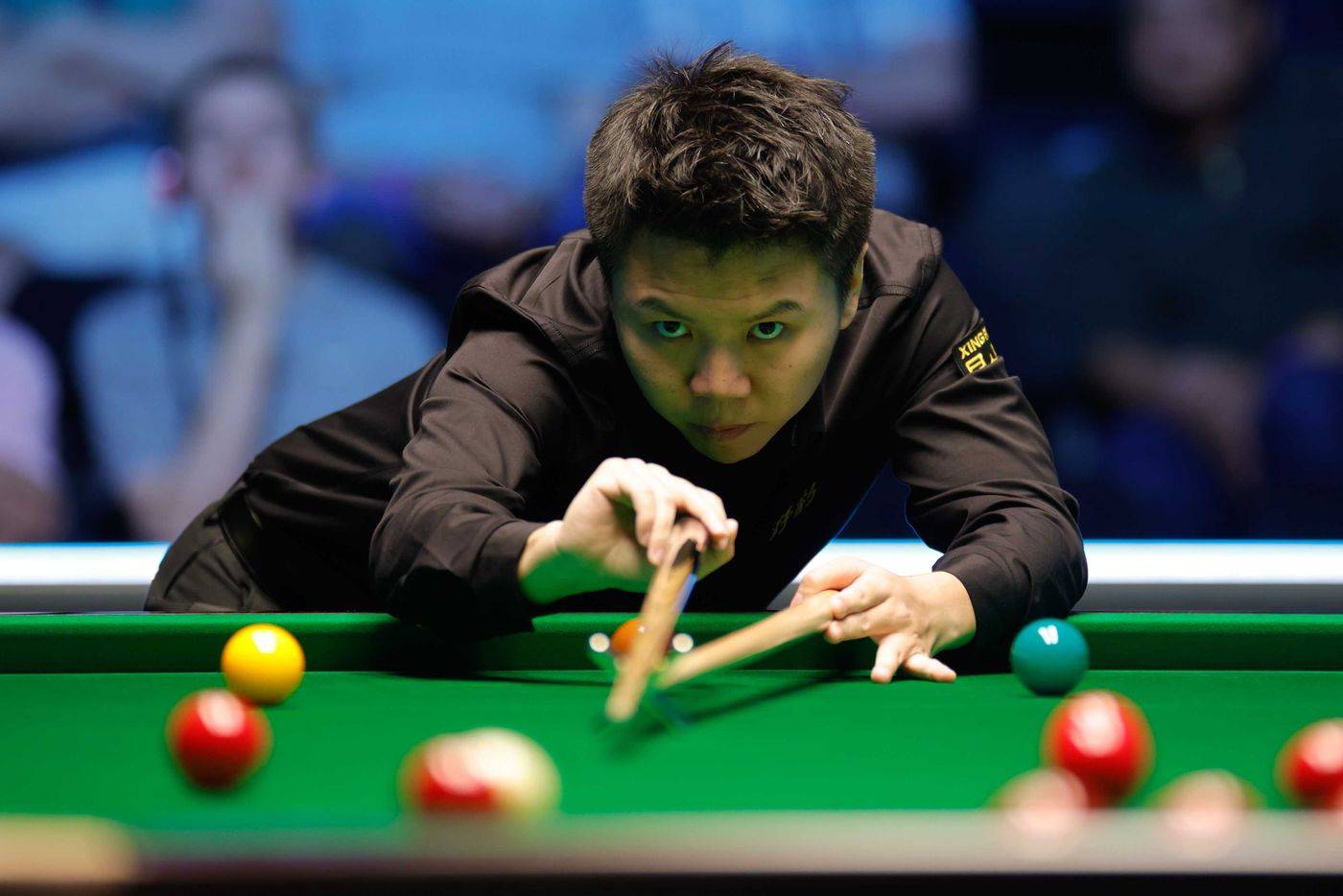 延续了近年 延续了近年